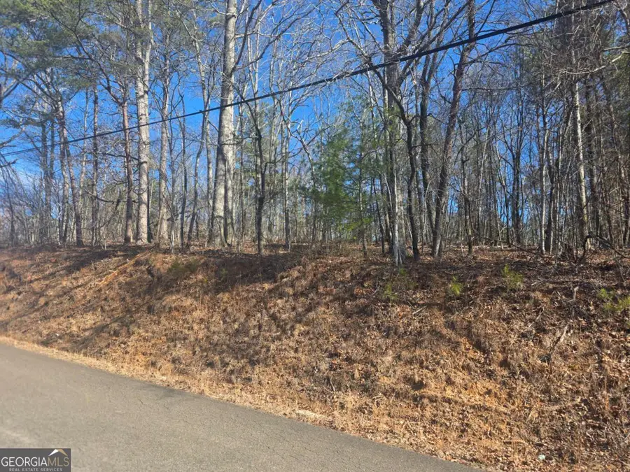 TBD Cowart Mountain Tract 3 Road, Jasper, GA 30143 - Image #3