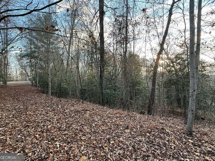 28/32 Stuart Ridge Road, Mineral Bluff, GA 30559 - #2