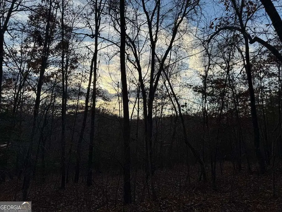 28/32 Stuart Ridge Road, Mineral Bluff, GA 30559 - #3