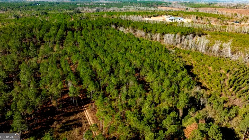 0 S Highway 19 & Warm Spring Road, Glenwood, GA 30428 - Image #1