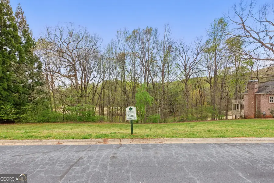 0000 Granny Smith Circle, Clarkesville, GA 30523 - Image #3