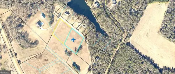 0 Mill Creek Road, Bartow, GA 30413