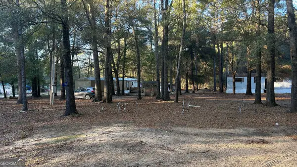 34 Hall Road, Hawkinsville, GA 31036