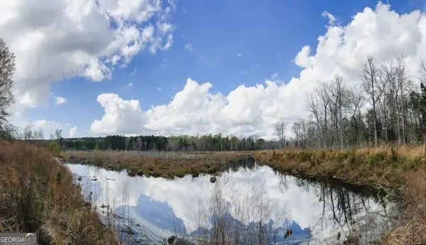 0 Hiltonia-perkins Road, Sylvania, GA 30467