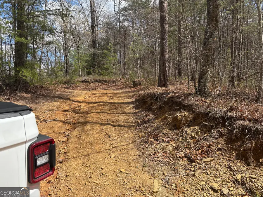 0 Laurel Branch, East Ellijay, GA 30539 - Image #2