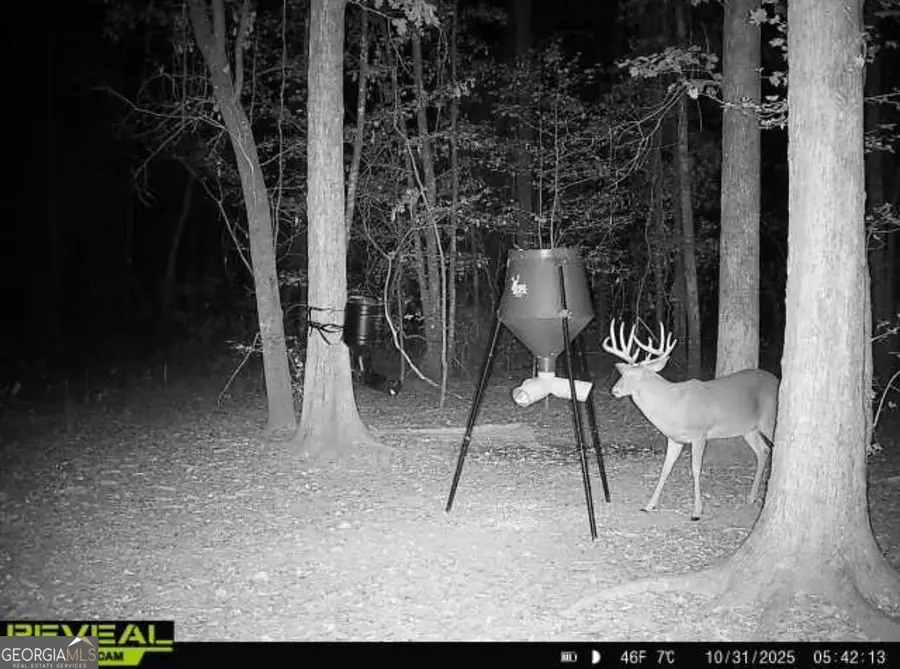 0 Jenkins Farm Road, Byromville, GA 31007 - Image #2