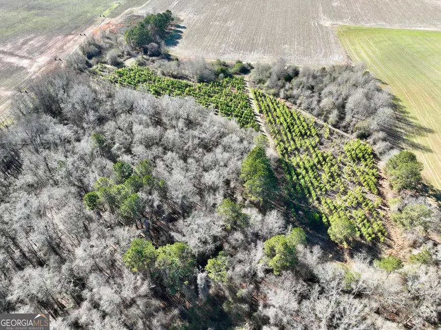 0 Jenkins Farm Road, Byromville, GA 31007 - Image #3