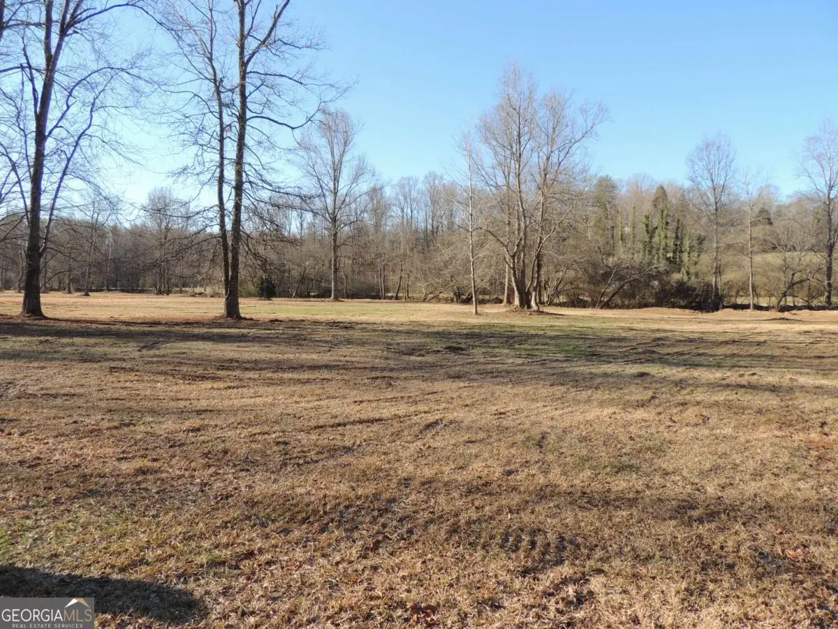 209 Horton Road, Dahlonega, GA 30533 - #1
