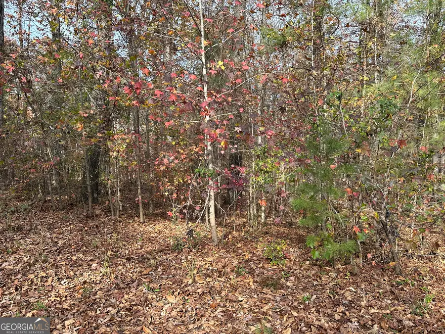 350 Antebellum Way, Fayetteville, GA 30215 - Image #2