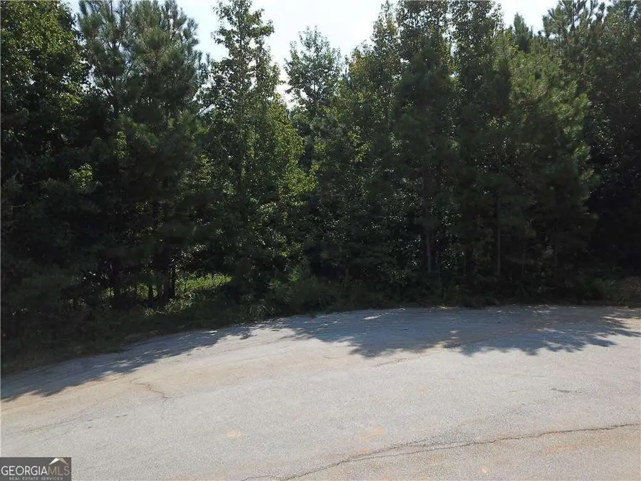 7732 Austin Court, Winston, GA 30187 - #3