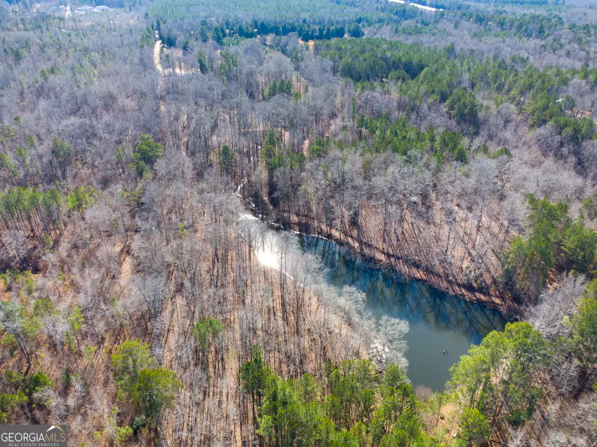 0 Levi Bradbury Road, Moreland, GA 30259 - Image #1