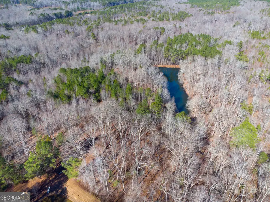 0 Levi Bradbury Road, Moreland, GA 30259 - Image #2