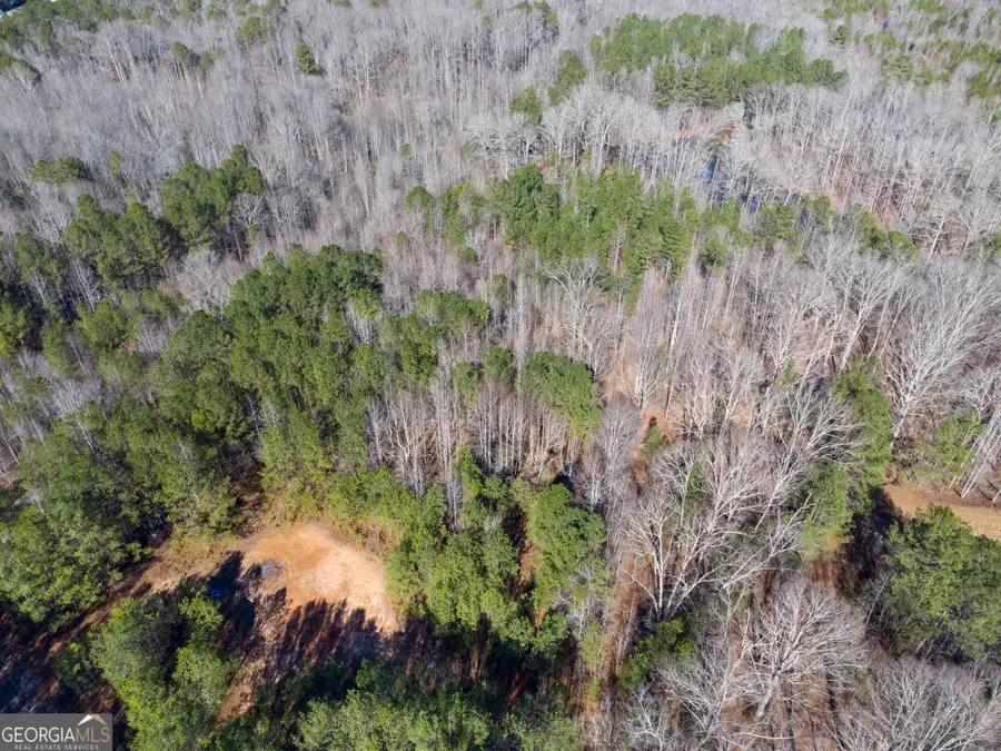 0 Levi Bradbury Road, Moreland, GA 30259 - Image #3
