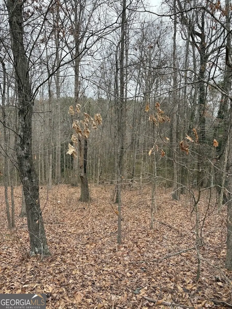 0 Polk Avenue, Dallas, GA 30132 - Image #3