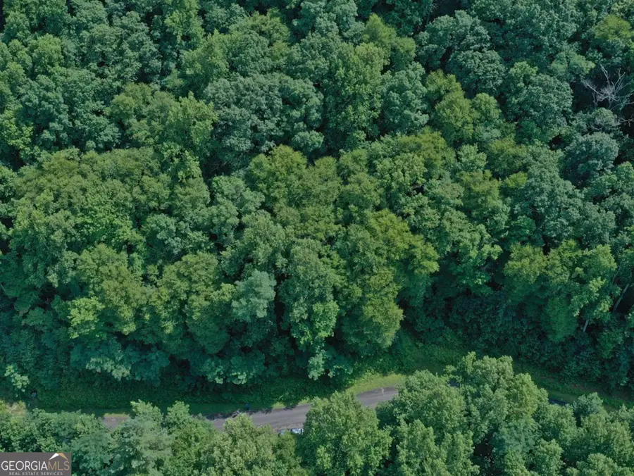 0 Shake Hollow Drive, Rabun Gap, GA 30568 - Image #3