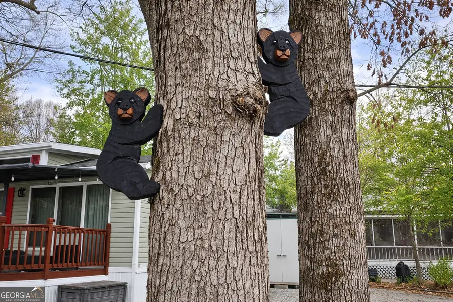 4 Evergreen Trl, Cleveland, GA 30528 - Image #2