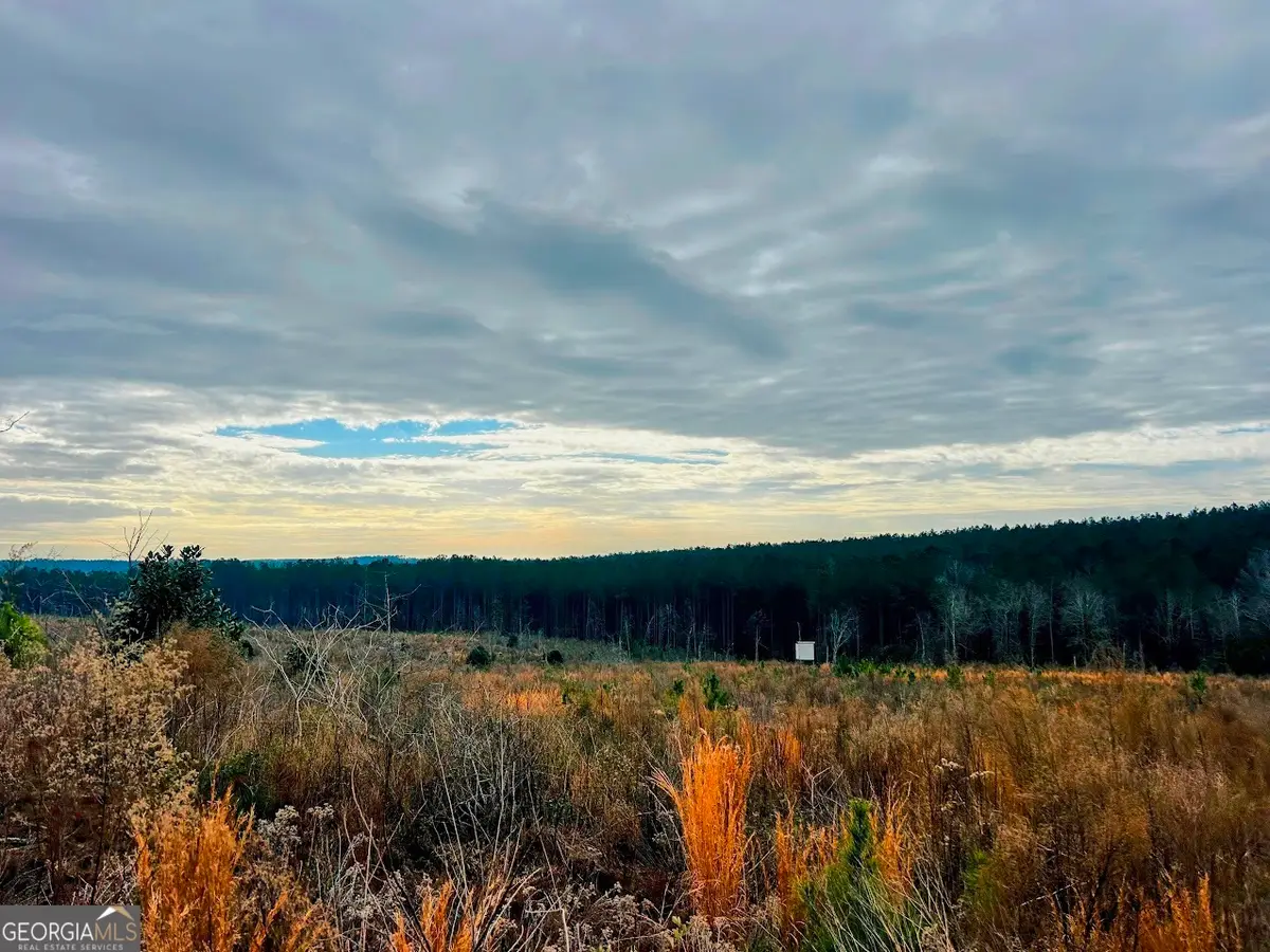 0 County Road 309 #TRACT A, Skipperville, AL 36374 - #1