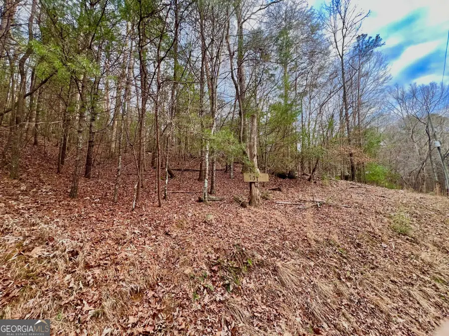 914 Villa Drive, Ellijay, GA 30540 - Image #3