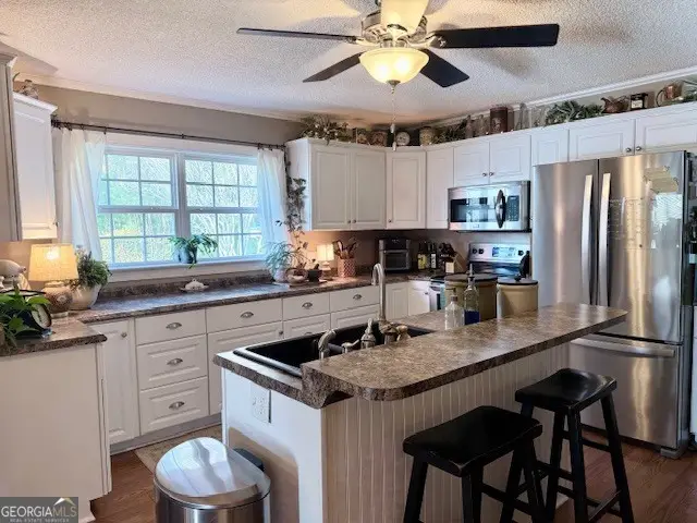 968 Saint Mathews Church Road, Metter, GA 30439 - Image #3