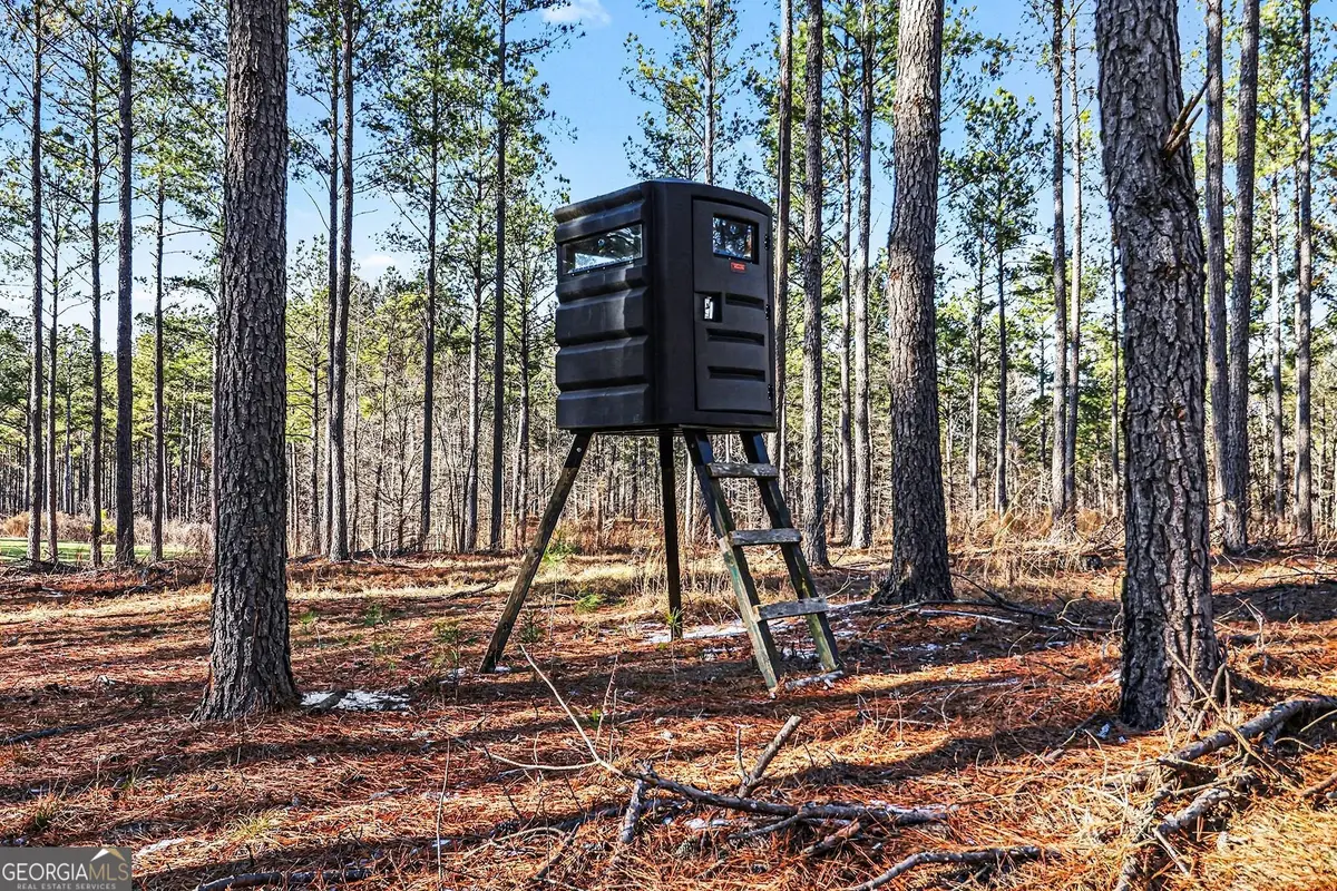 2285 Cherokee Road, Comer, GA 30629 - #1