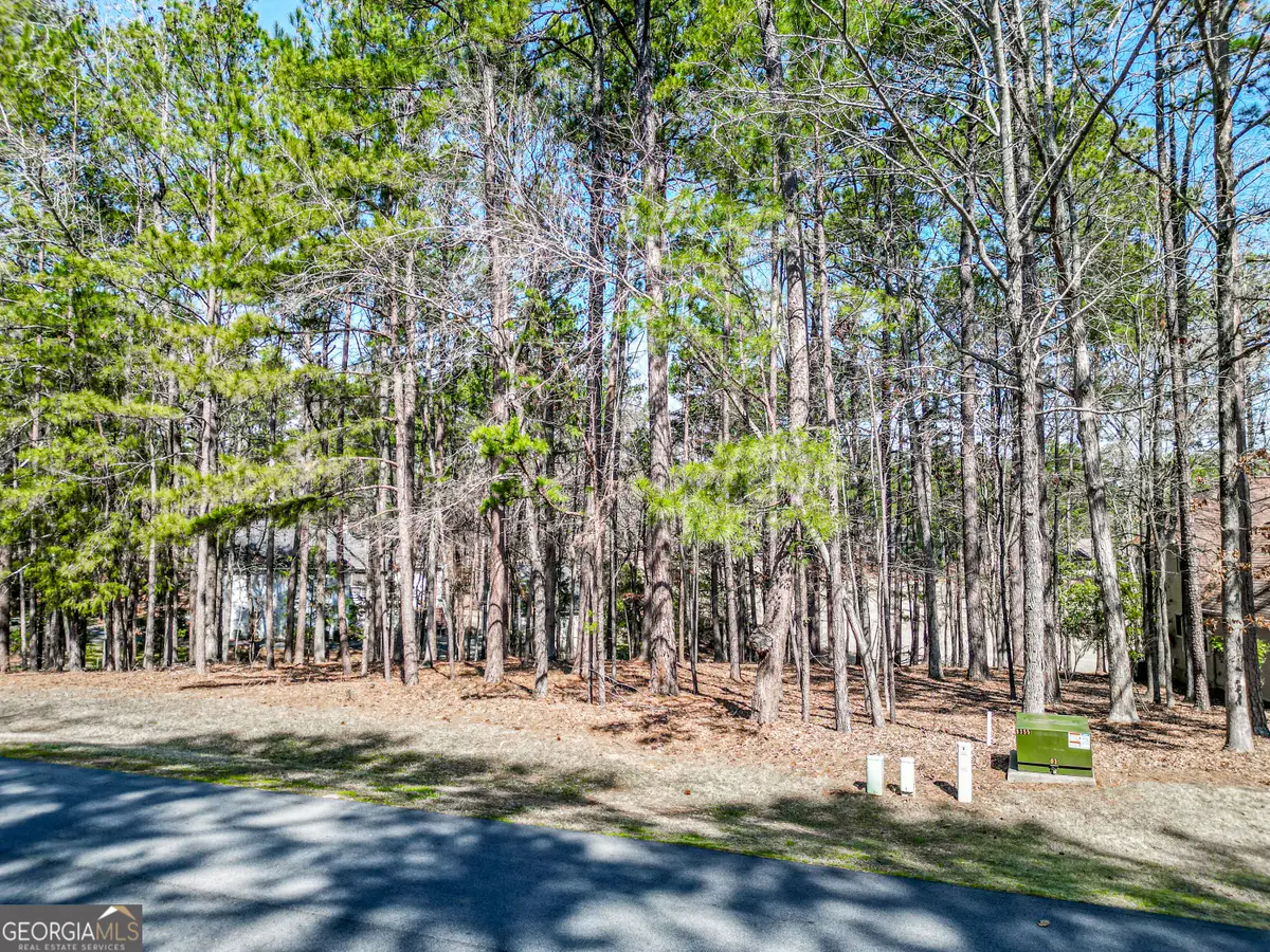 1050 Club Cove Drive #1050 CLUB COVE DRIVE, Greensboro, GA 30642 - #1
