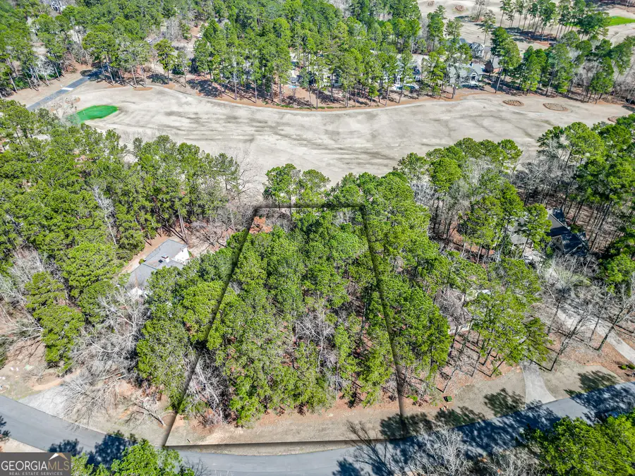 1050 Club Cove Drive #1050 CLUB COVE DRIVE, Greensboro, GA 30642 - #3