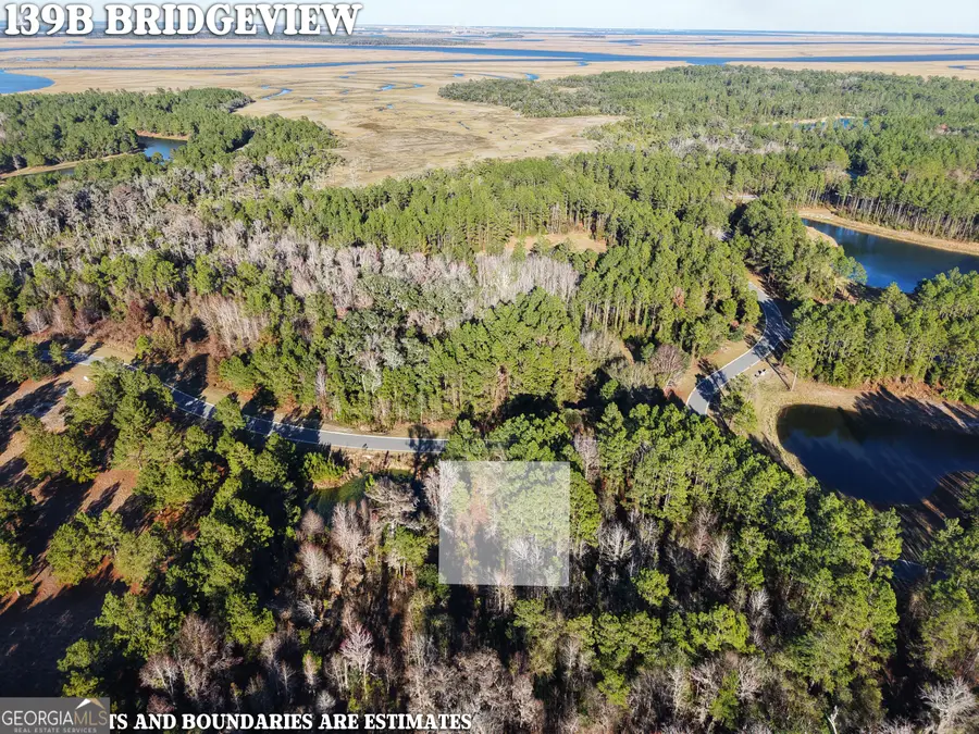 LOT 388 Bridge View Lane, Waverly, GA 31565 - Image #3