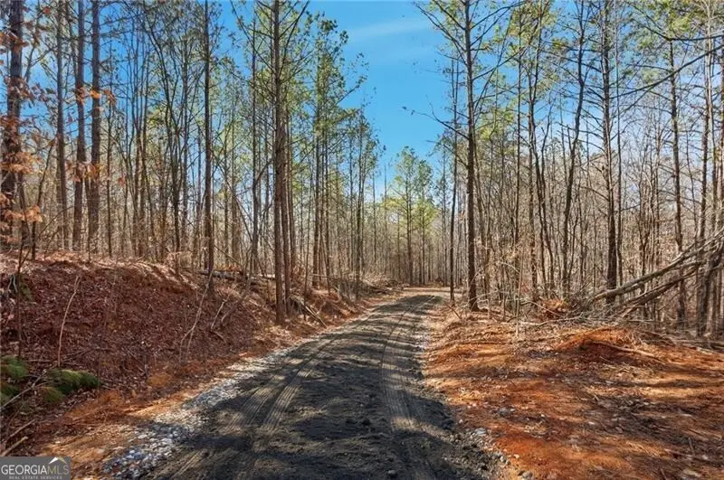 6.731 Acres On Pete Path, Dallas, GA 30157 - Image #3