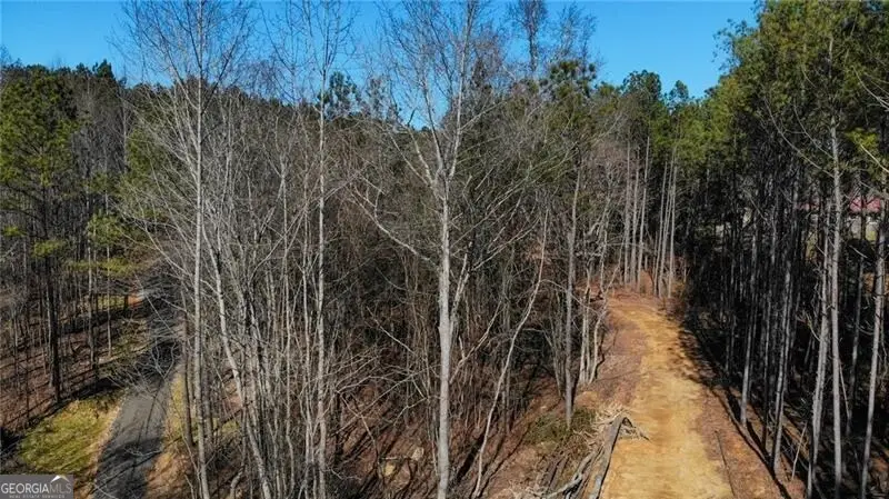 5.168 Acres On Pete Path, Dallas, GA 30157 - #1