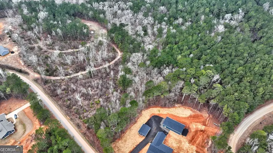 LOT 5 Cochran Road, Madison, GA 30650 - Image #2