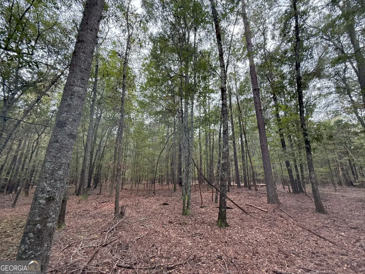 4 Jefferson River Road, Athens, GA 30607 - Image #1