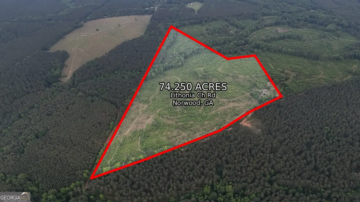 1 Lithonia Church Road, Norwood, GA 30821 - #1