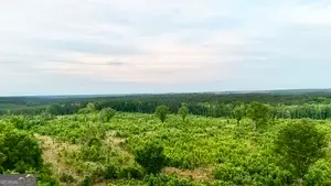 1 Lithonia Church Road, Norwood, GA 30821 - #3