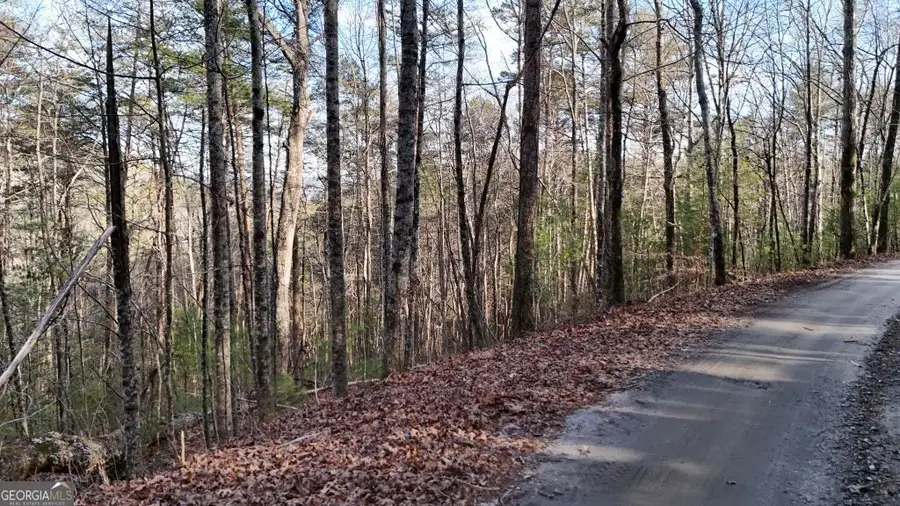 00 Gold Valley Road, Sautee Nacoochee, GA 30571 - Image #3