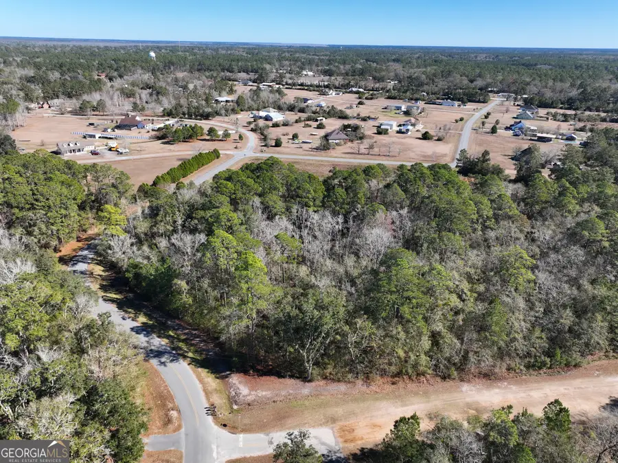 0 Pine Bluff Court, Woodbine, GA 31569 - #2