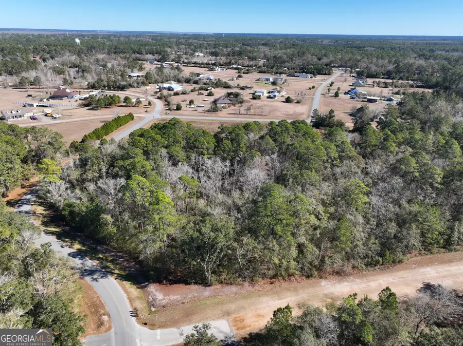 0 Pine Bluff Court, Woodbine, GA 31569 - #3