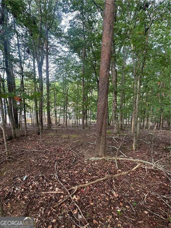 286 Morse Elm Loop, Waleska, GA 30183 - Image #3