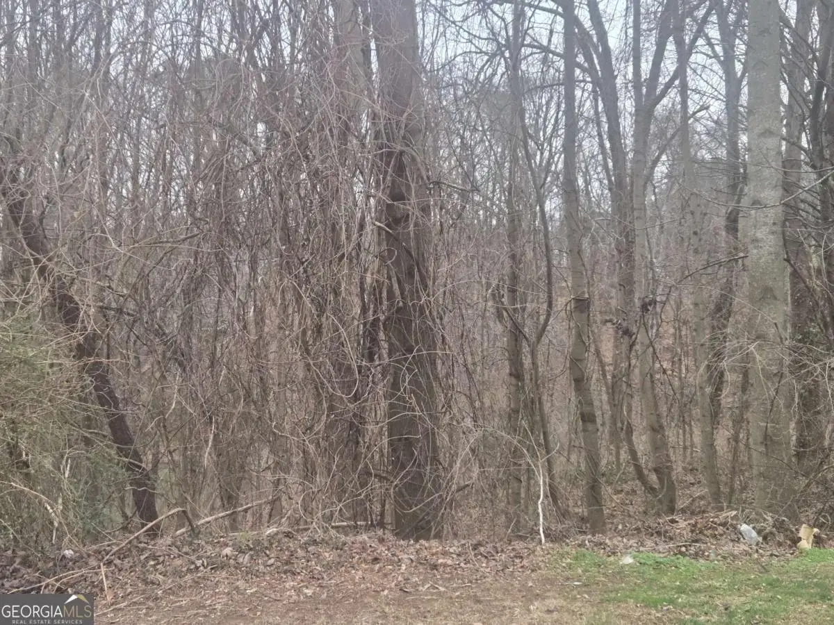 0 Nellie Brook Drive, Mableton, GA 30126 - Image #1