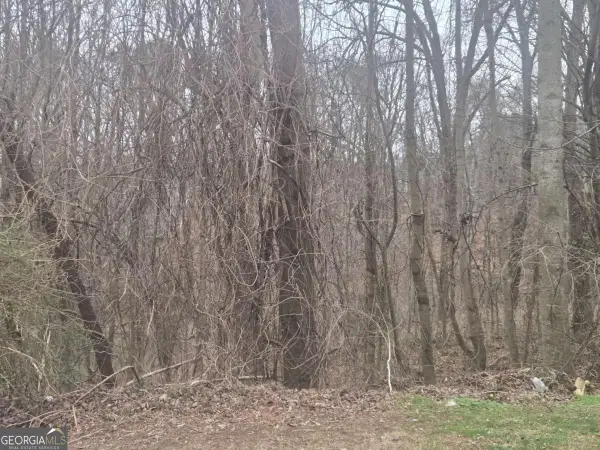 0 Nellie Brook Drive, Mableton, GA 30126