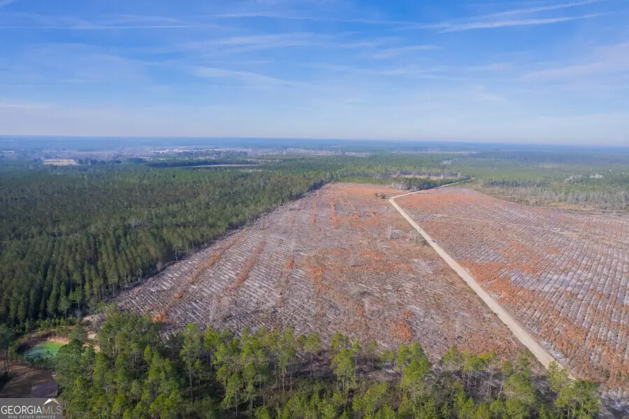 TRACT 6 Morris Break Road, Odum, GA 31555 - #2