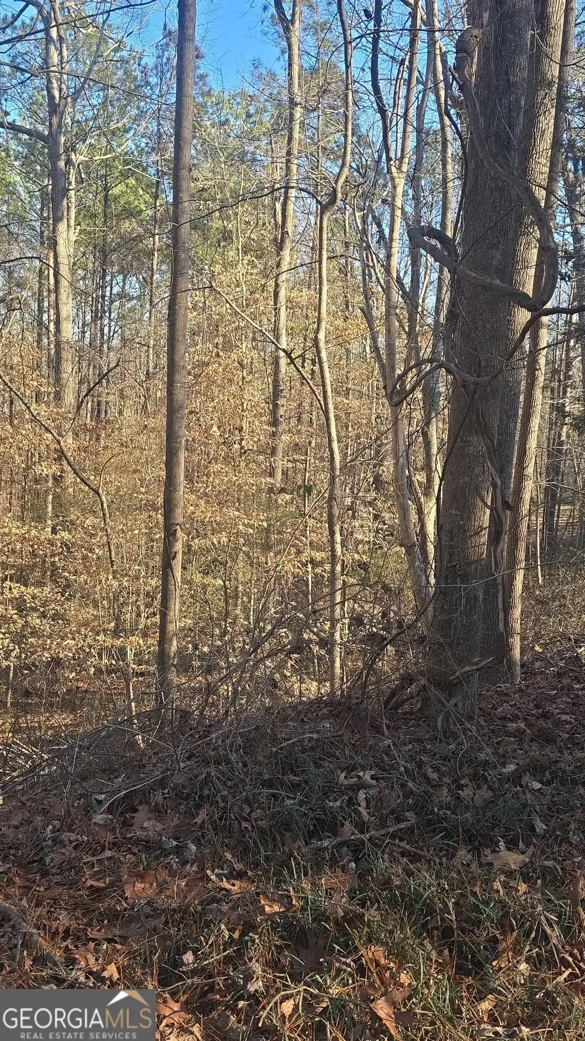 4440 Susans Way, Snellville, GA 30039 - Image #1