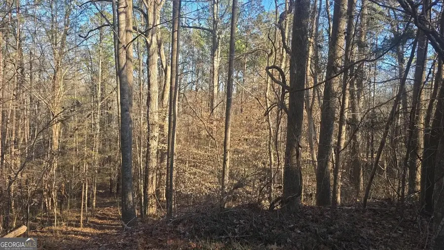 4440 Susans Way, Snellville, GA 30039 - Image #2