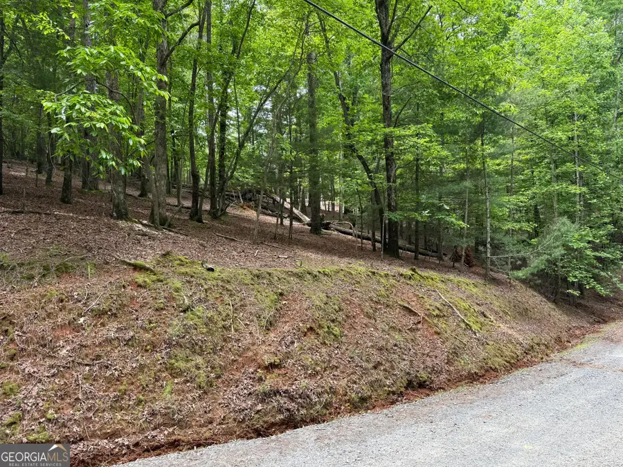0 Pelican Drive, Ellijay, GA 30540 - Image #3