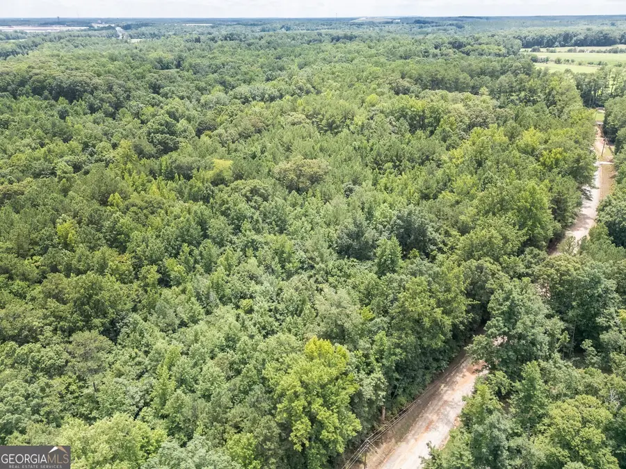 460 Pullin Road, Locust Grove, GA 30248 - #3