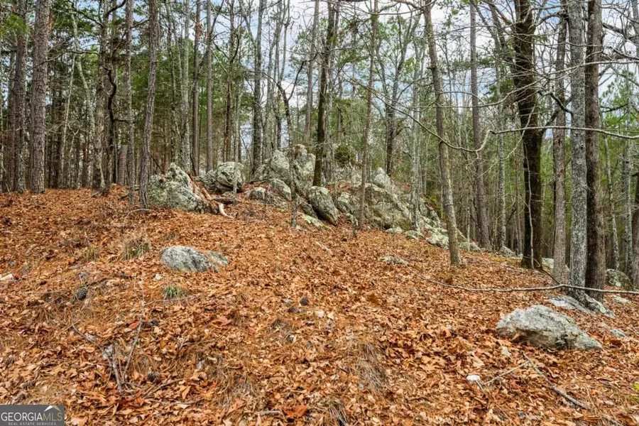 251 Winding River Road, Eatonton, GA 31024 - Image #2