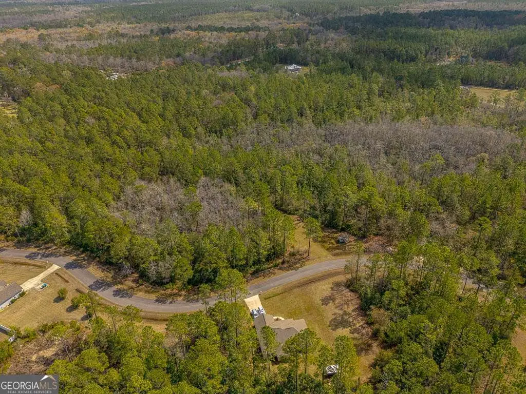 120 Carolwoods Drive, Brunswick, GA 31523 - #1