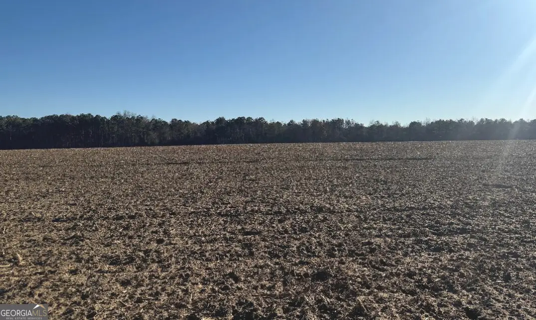 0 Whitfield Road, Elko, GA 31025 - #1