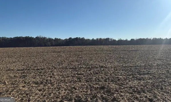 0 Whitfield Road, Elko, GA 31025