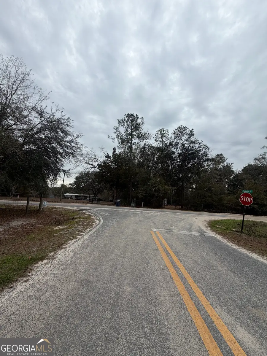 745 St Marys River Bluff Road, Saint George, GA 31562 - #2