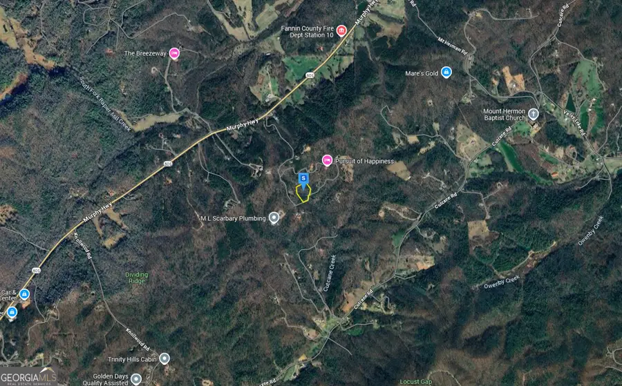 601 Pine Pass Cir, Mineral Bluff, GA 30559 - Image #2